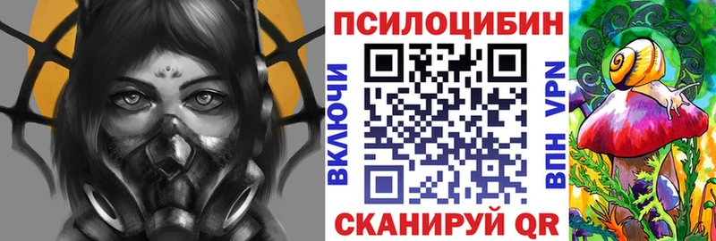 где можно купить наркотик  Колпашево  Галлюциногенные грибы Psilocybine cubensis 
